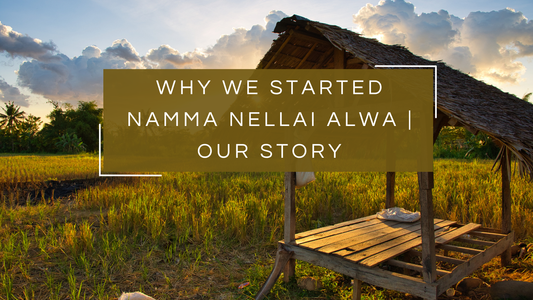 Why We Started Namma Nellai Alwa | Our Story